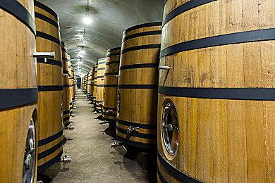 这画面竟会卡？《我的好友小猪佩奇》升级版太糟糕